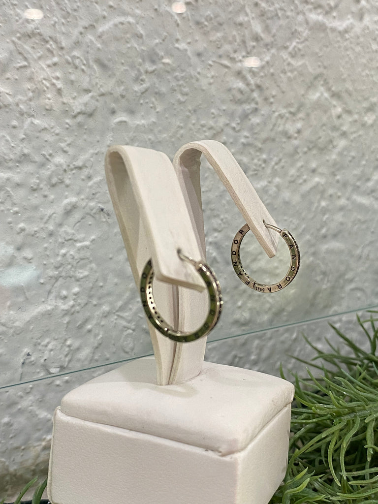 Earrings silver