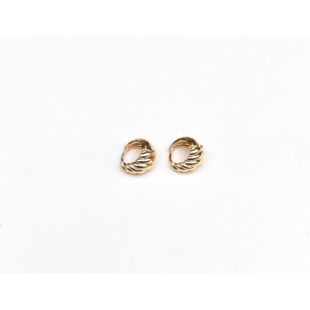 Twisted Hoop Earrings